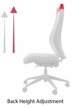 Pluto Ergonomic Mesh Office Chair -Pro Office Shop back height adjustment
