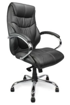 Bernera Executive Office Chair