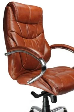 Bernera Executive Office Chair -Pro Office Shop bernera tan 2