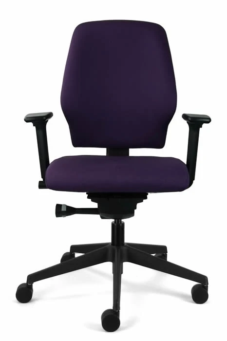 Chiro Support 1 Chiro Support