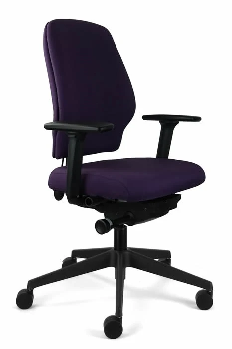 Chiro Support 2 Chiro Support - Image 2