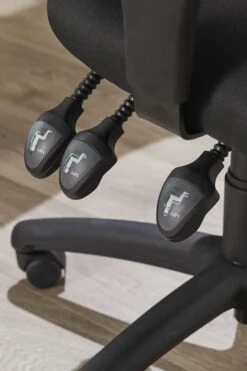 Esme Ergonomic Fabric Office Chair -Pro Office Shop esme 7