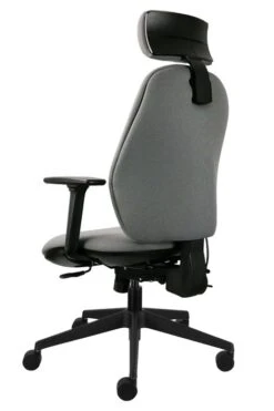 Ergo Fix Posture -Pro Office Shop fixx posture 2