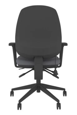 Lumbar Office Chair -Pro Office Shop frf100 gy back