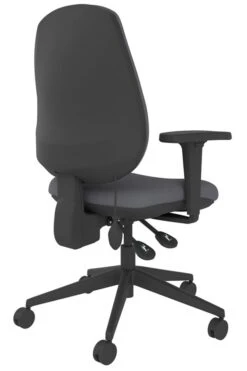 Lumbar Office Chair -Pro Office Shop frf100 gy back right