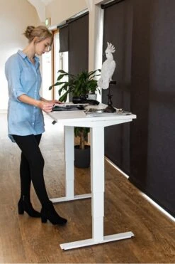 Mini Standing Desk -Pro Office Shop mini 5
