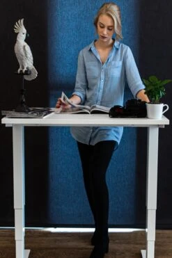 Mini Standing Desk -Pro Office Shop mini 9