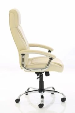 Penza Executive Leather Chair -Pro Office Shop penza executive cream leather chair 2