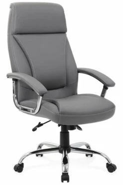 Penza Executive Leather Chair -Pro Office Shop penza grey 3