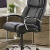 Poseidon Bariatric Chair