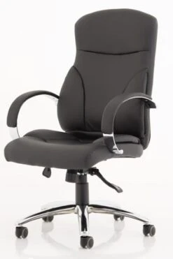 Trojan Office Chair 15 Trojan Office Chair -Pro Office Shop trojan 2 1