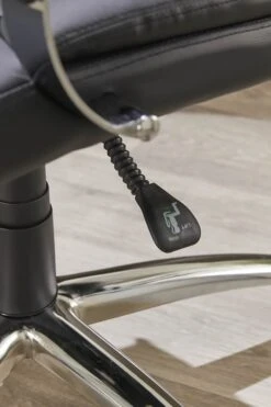 Trojan Office Chair 14 Trojan Office Chair -Pro Office Shop trojan 7