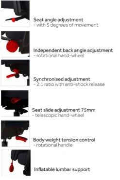 Chiro Support 17 Chiro Support -Pro Office Shop untilted 3